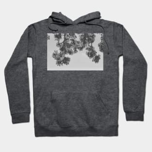 Spring Apple Tree Blossoms 35mm Hoodie
